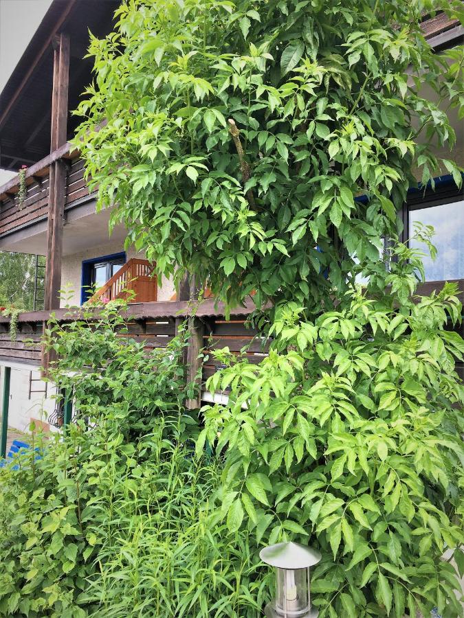 Antjes Schmankerlhotel Und Restaurant Tröstau Zewnętrze zdjęcie