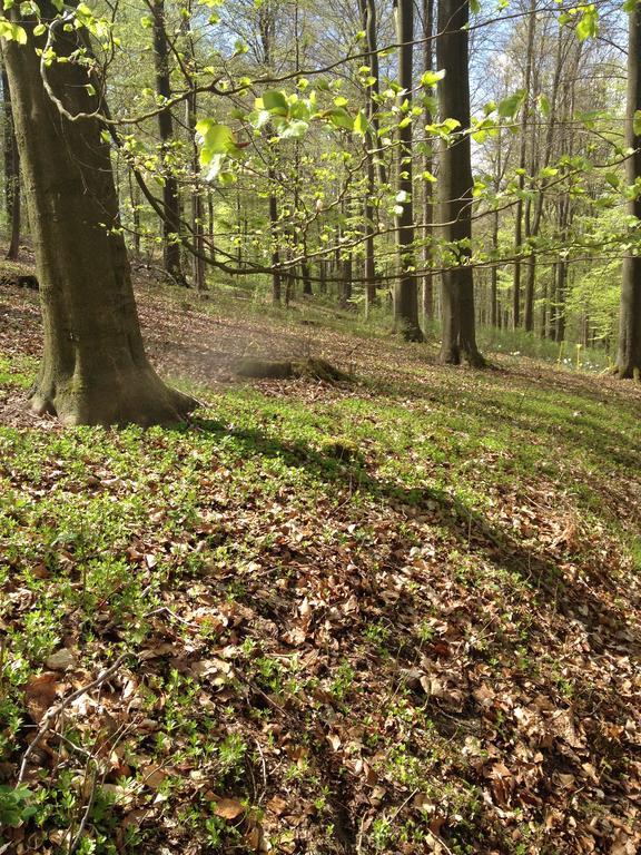 Antjes Schmankerlhotel Und Restaurant Tröstau Zewnętrze zdjęcie